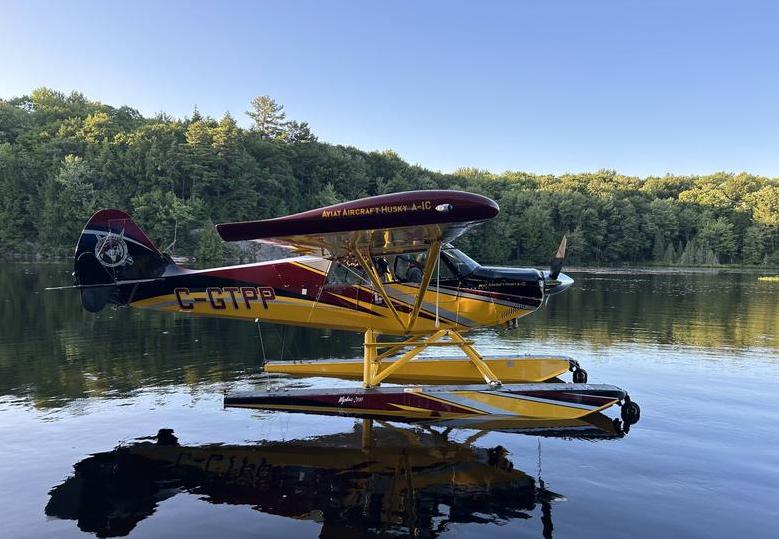 2010 Aviat Husky A-1C-200 Photo 3